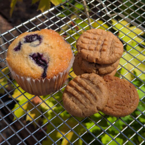 Muffin Edible 200 MG THC